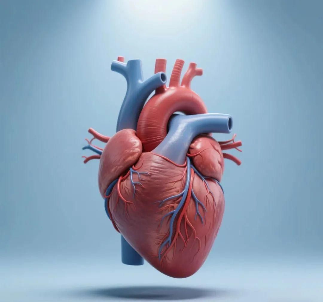 丹麦20年研究：年轻人心源性猝死呈下降趋势