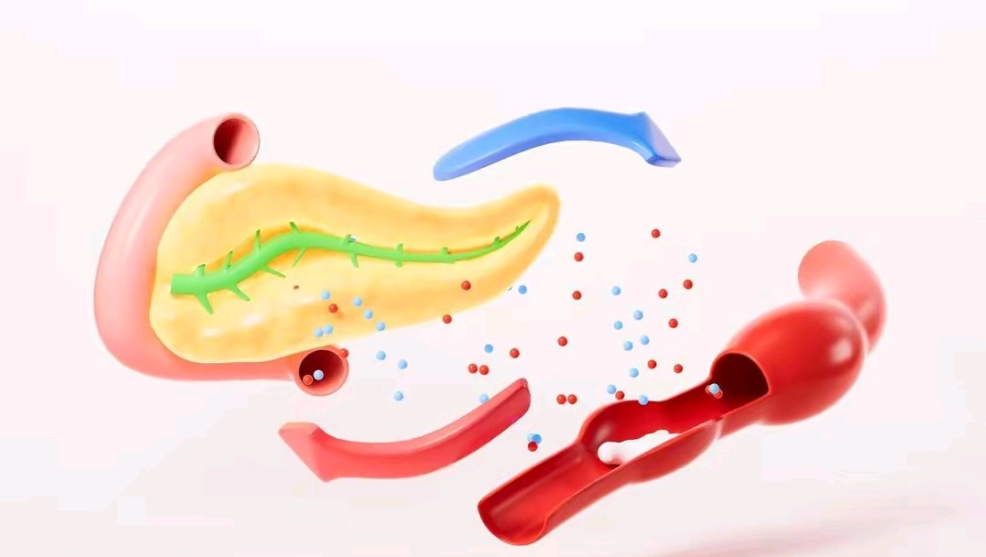 有胰岛素抵抗，该怎么吃？怎么动？中国共识