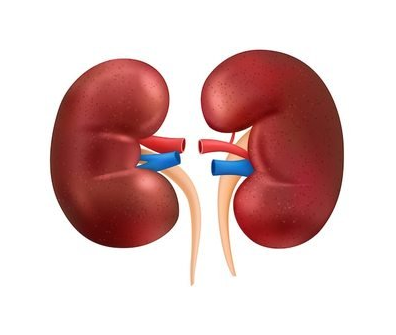 1444万国人有慢性肾脏病！北大学者950万人分析