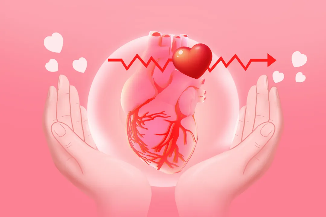 生酮饮食、间歇断食、益生菌和粪菌移植等，是否有效果？中国减肥医学营养指南